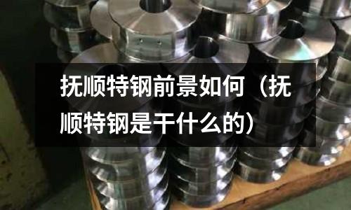 撫順特鋼前景如何(撫順特鋼是干什么的)