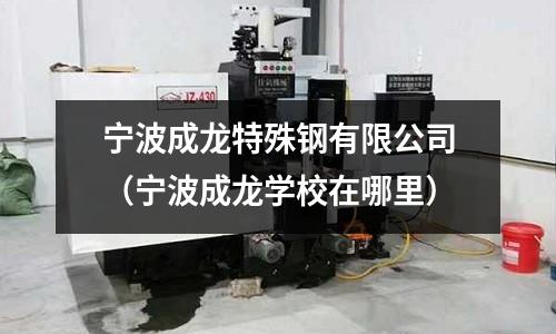寧波成龍特殊鋼有限公司（寧波成龍學校在哪里）
