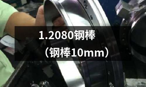 1.2080鋼棒（鋼棒10mm）