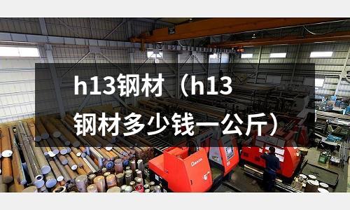 h13鋼材（h13鋼材多少錢一公斤）