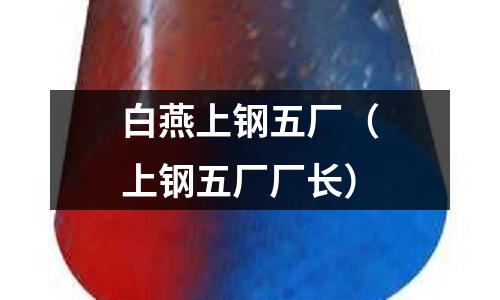 白燕上鋼五廠（上鋼五廠廠長）