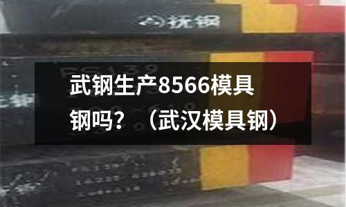 武鋼生產8566模具鋼嗎？（武漢模具鋼）