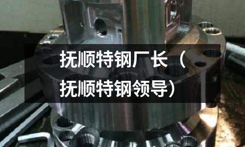 撫順特鋼廠長（撫順特鋼領導）
