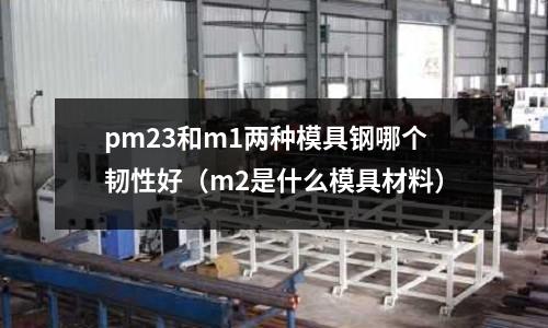 pm23和m1兩種模具鋼哪個(gè)韌性好（m2是什么模具材料）