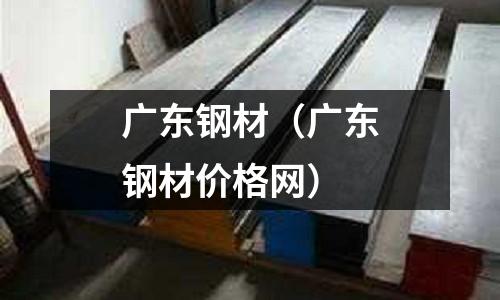 廣東鋼材(廣東鋼材價格網(wǎng))