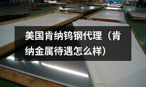 美國肯納鎢鋼代理(肯納金屬待遇怎么樣)