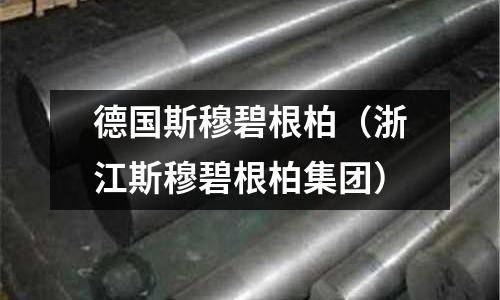 德國斯穆碧根柏（浙江斯穆碧根柏集團(tuán)）