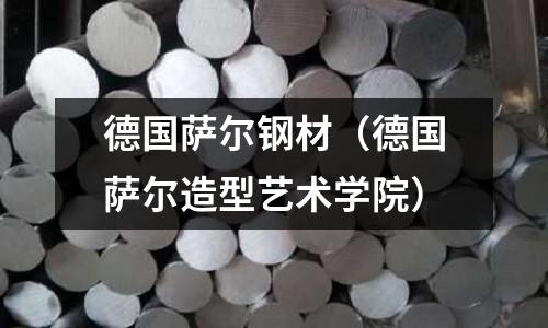 德國薩爾鋼材（德國薩爾造型藝術學院）