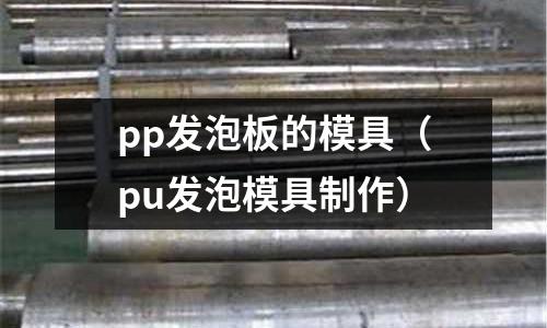 pp發泡板的模具（pu發泡模具制作）