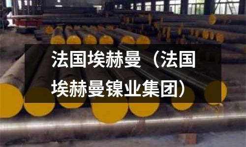 法國埃赫曼(法國埃赫曼鎳業(yè)集團)