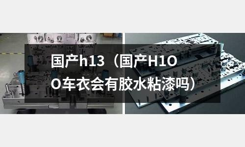 國產h13(國產H1OO車衣會有膠水粘漆嗎)