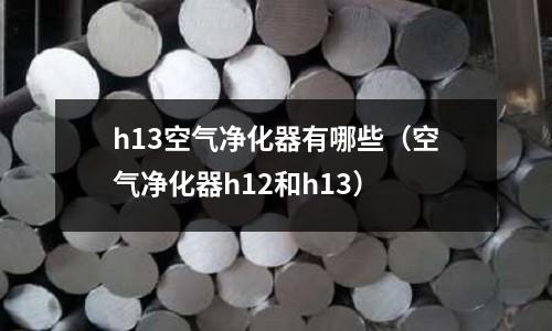 h13空氣凈化器有哪些(空氣凈化器h12和h13)