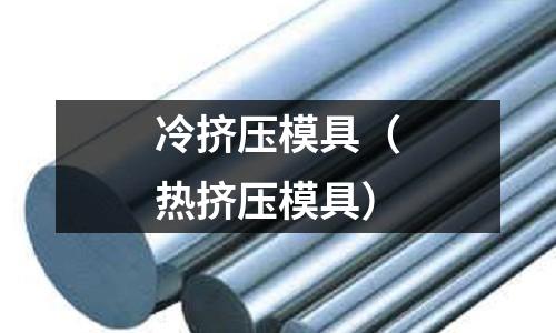 冷擠壓模具(熱擠壓模具)