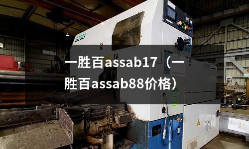 一勝百assab17(一勝百assab88價格)