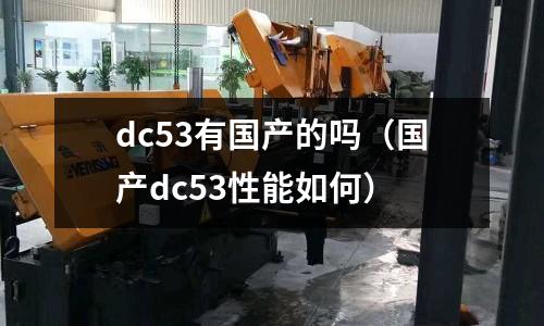 dc53有國產的嗎（國產dc53性能如何）