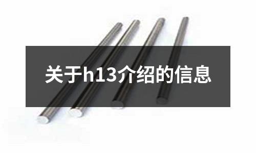 關于h13介紹的信息