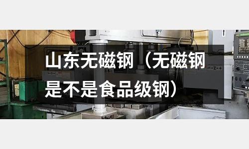 山東無(wú)磁鋼（無(wú)磁鋼是不是食品級(jí)鋼）