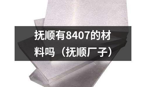 撫順有8407的材料嗎（撫順廠子）