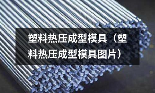 塑料熱壓成型模具（塑料熱壓成型模具圖片）