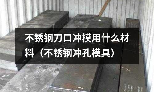 不銹鋼刀口沖模用什么材料（不銹鋼沖孔模具）