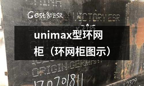 unimax型環(huán)網(wǎng)柜(環(huán)網(wǎng)柜圖示)