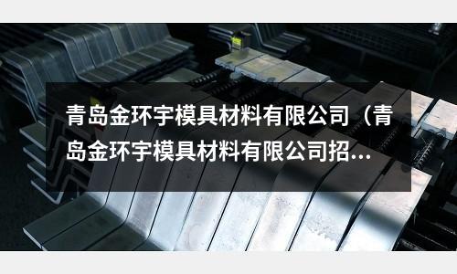 青島金環(huán)宇模具材料有限公司(青島金環(huán)宇模具材料有限公司招聘)