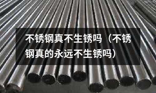 不銹鋼真不生銹嗎（不銹鋼真的永遠不生銹嗎）