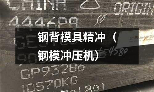 鋼背模具精沖（鋼模沖壓機）