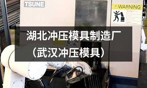 湖北沖壓模具制造廠(武漢沖壓模具)
