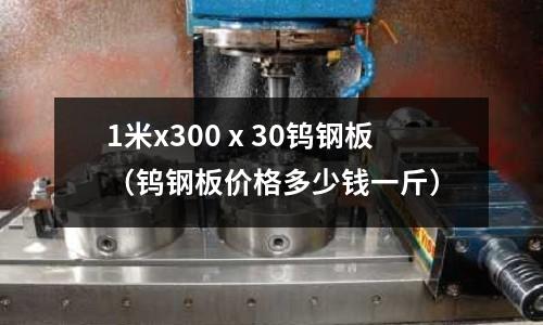 1米x300ⅹ30鎢鋼板(鎢鋼板價格多少錢一斤)
