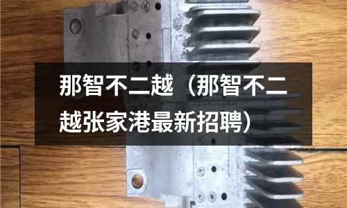 那智不二越（那智不二越張家港最新招聘）