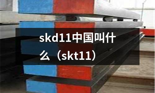 skd11中國叫什么（skt11）