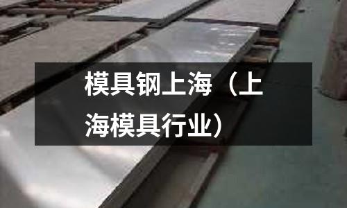 模具鋼上海(上海模具行業)