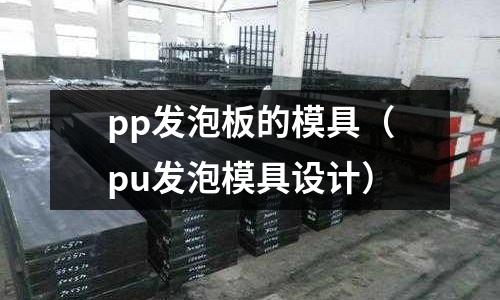 pp發泡板的模具（pu發泡模具設計）
