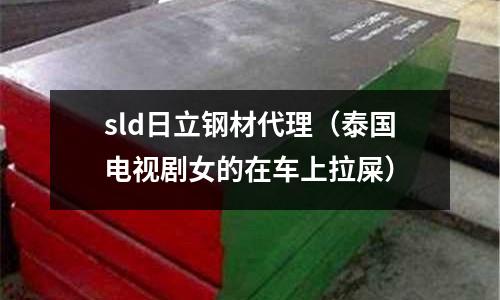 sld日立鋼材代理（泰國電視劇女的在車上拉屎）