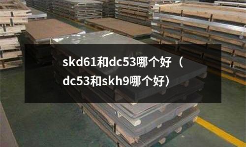 skd61和dc53哪個好（dc53和skh9哪個好）