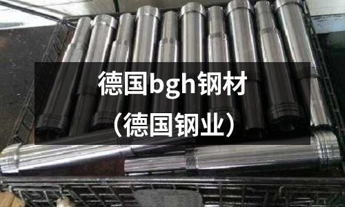德國bgh鋼材(德國鋼業)
