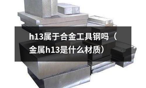 h13屬于合金工具鋼嗎(金屬h13是什么材質(zhì))
