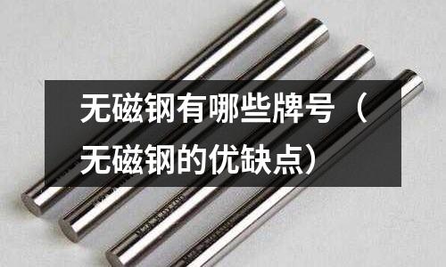 無(wú)磁鋼有哪些牌號(hào)(無(wú)磁鋼的優(yōu)缺點(diǎn))