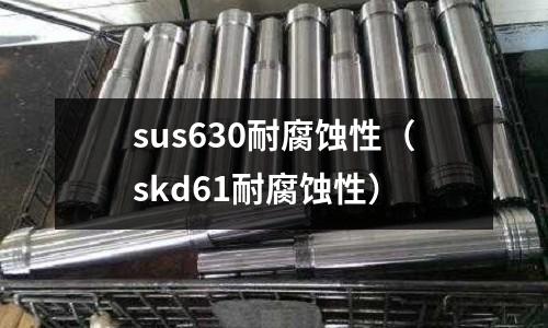 sus630耐腐蝕性(skd61耐腐蝕性)