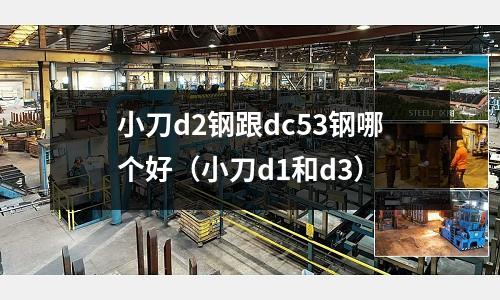 小刀d2鋼跟dc53鋼哪個(gè)好（小刀d1和d3）