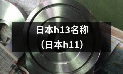 日本h13名稱（日本h11）