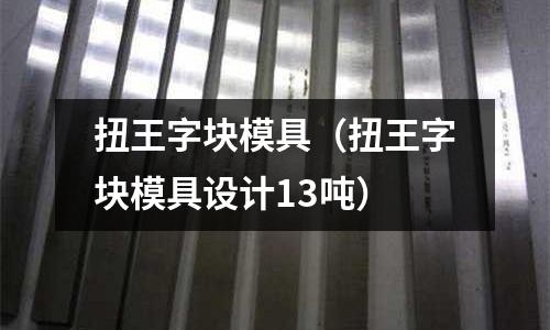 扭王字塊模具(扭王字塊模具設計13噸)