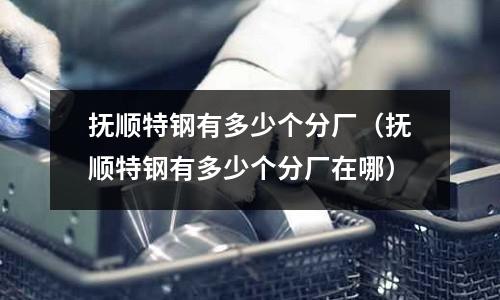 撫順特鋼有多少個分廠（撫順特鋼有多少個分廠在哪）
