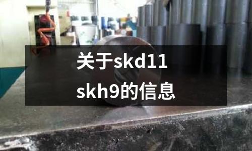 關于skd11skh9的信息