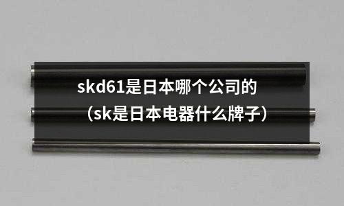 skd61是日本哪個公司的(sk是日本電器什么牌子)