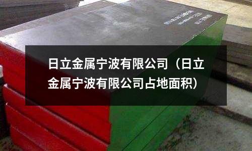 日立金屬寧波有限公司（日立金屬寧波有限公司占地面積）