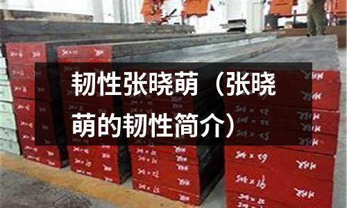 韌性張曉萌（張曉萌的韌性簡介）