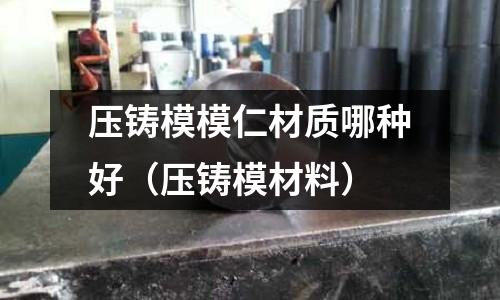 壓鑄模模仁材質(zhì)哪種好（壓鑄模材料）