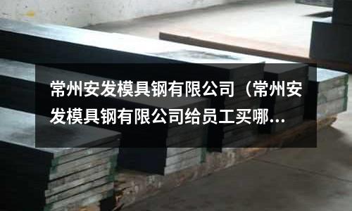 常州安發模具鋼有限公司(常州安發模具鋼有限公司給員工買哪家保險公司的保險)